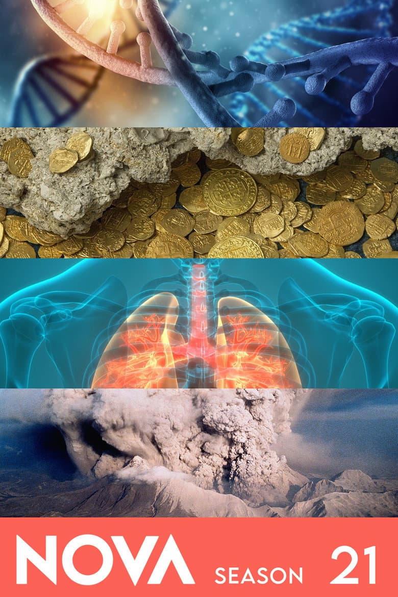 Temporada 21