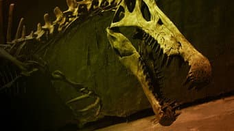 Episódio 7