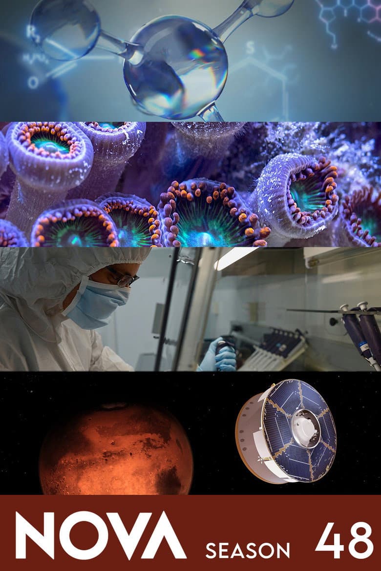 Temporada 48