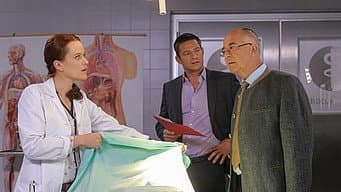 Episódio 7