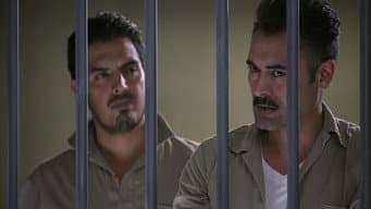 Episódio 14