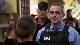 Episódio 43