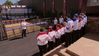 Episódio 8