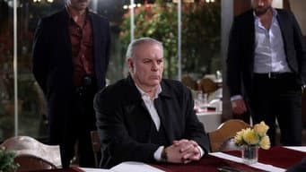 Episódio 26