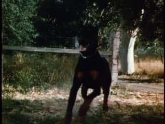 Episódio 4