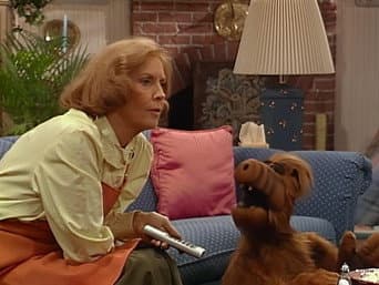 Novela Interessante