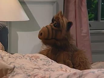 Uma Noite Encantada