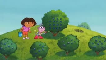 Colhendo Blueberries