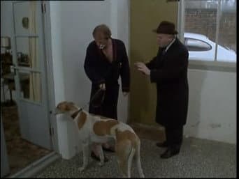 Episódio 9