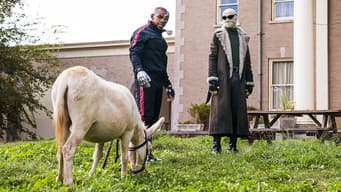 Patrulha do Burro