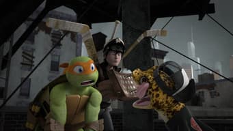 Conheçam mondo Gecko